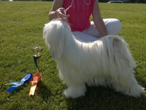 PMJV-13 FABULOUS TEDDY´S KATHY THE PRINCES - Kati-